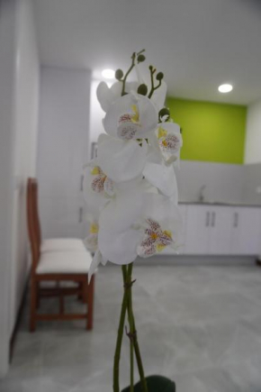 Apartamento Sanin 3
